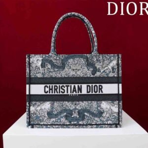 Dior Book Tote