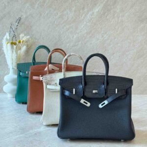 Hermes Birkin 25