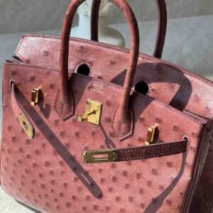 Hermès Birkin 25 Rouge H Ostrich Retourne Gold