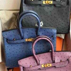 Hermes Ostrich Birkin
